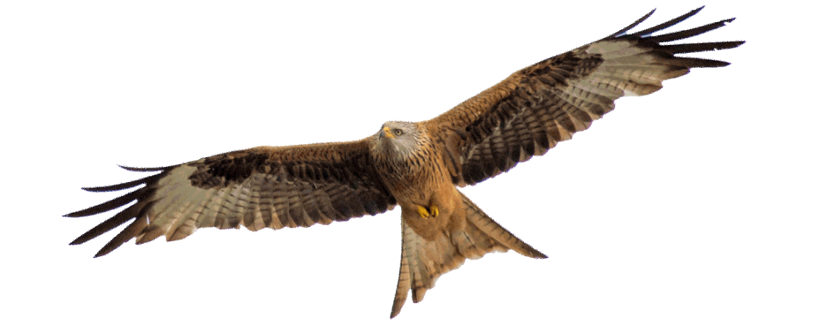 Offene Ganztagsschule